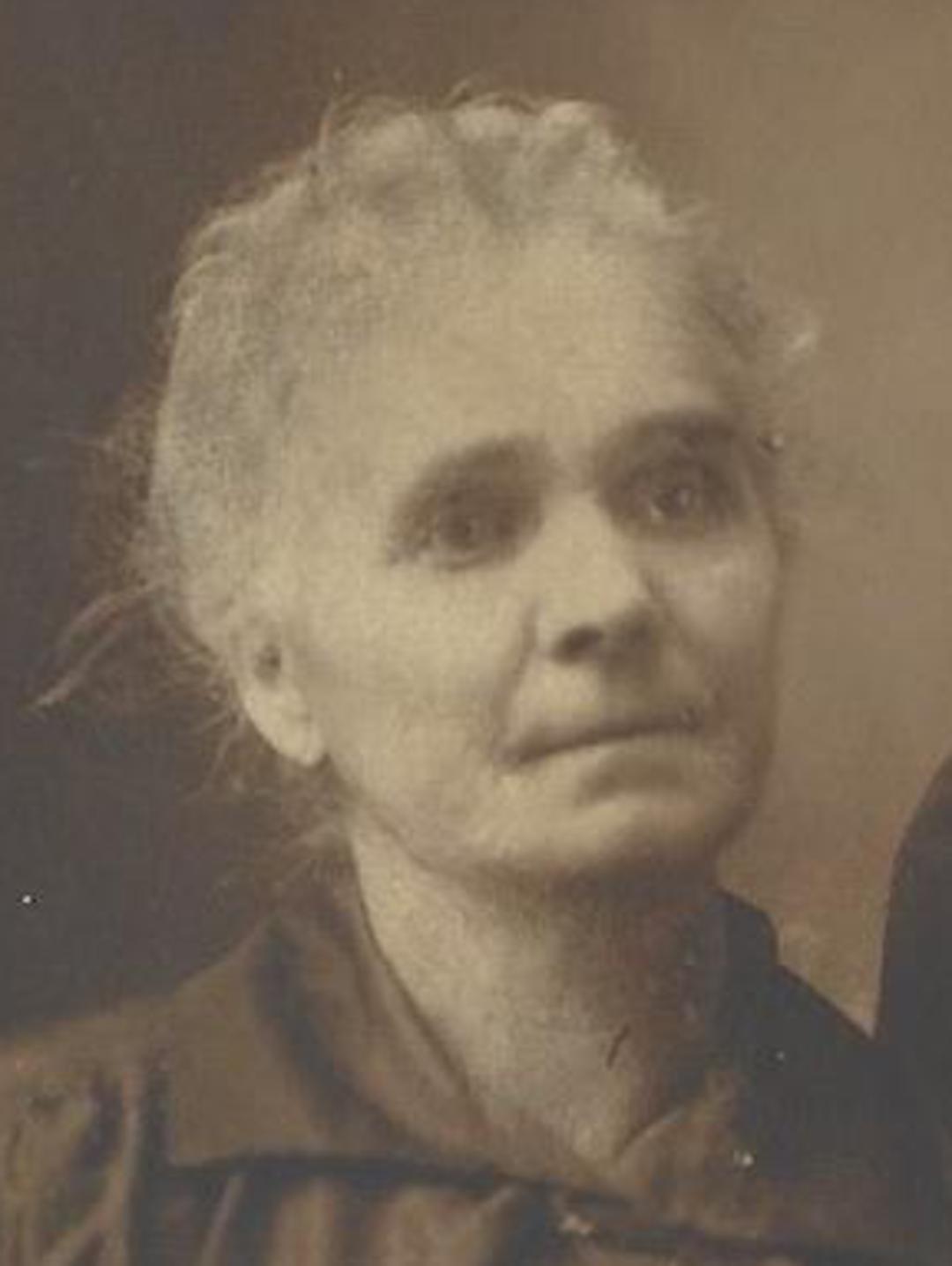 Sarah Ann Sheppard (1859 - 1926) Profile